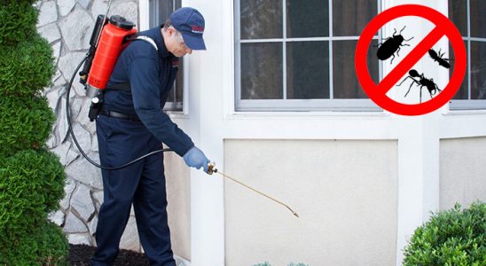 Göynük Dezenfeksiyon böcek ilaçlama ve haşere kontrolü — ilaclama-tr.com